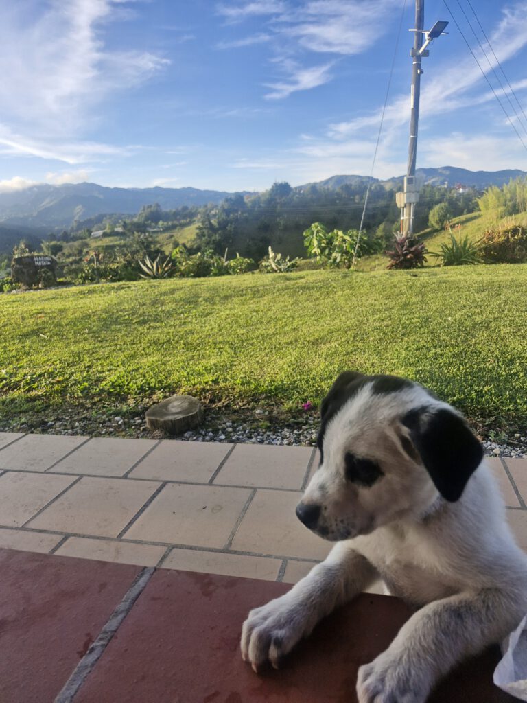 Jack en Valle Sereno