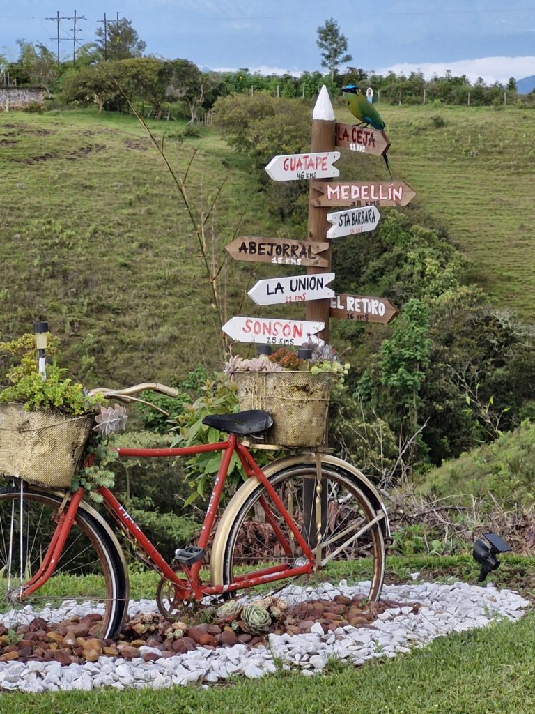Barranquero en Valle Sereno