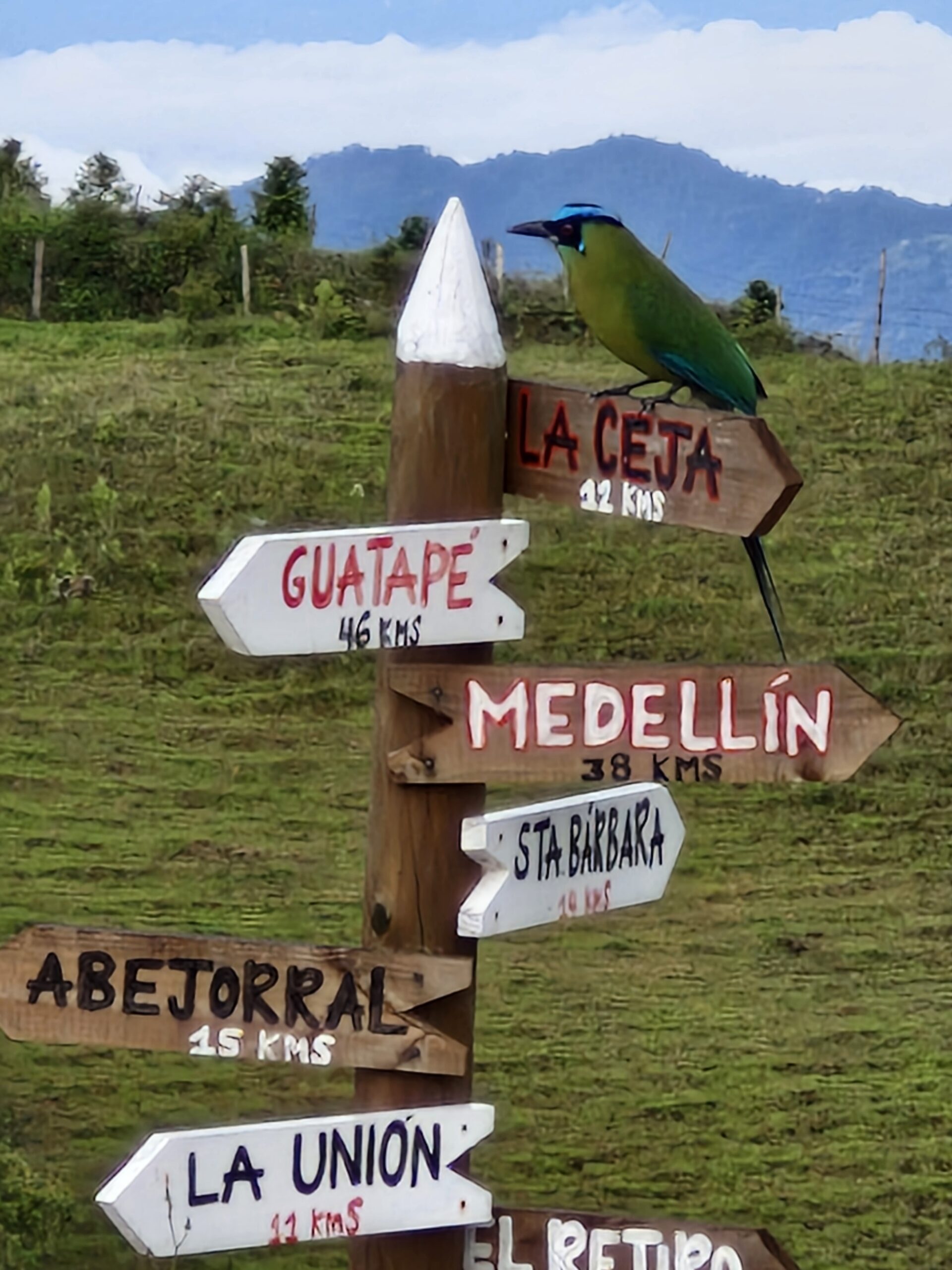Barranquero en Valle Sereno