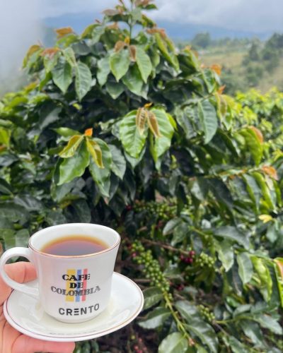 Café Valle Sereno